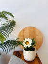 Frosted Elegance Planter | White