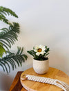 Frosted Elegance Planter | White