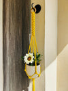 Infinity Knots Macrame Plant Hanger (Pot not included)