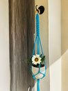 Infinity Knots Macrame Plant Hanger (Pot not included)