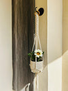 Infinity Knots Macrame Plant Hanger (Pot not included)