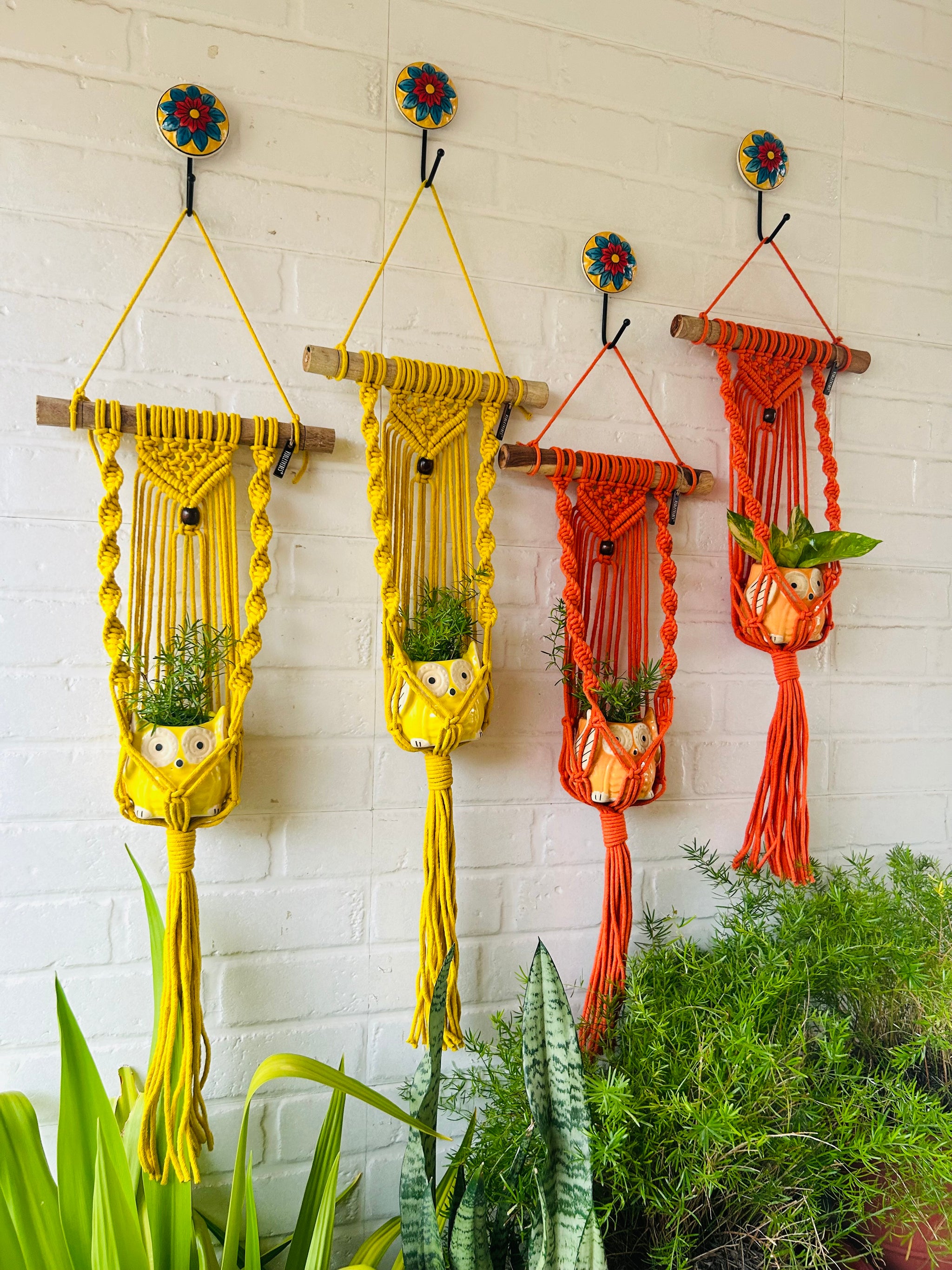 orange macrame plant hanger Sunrise & Sunset" Macrame Plant Hangers | Yellow and Orange