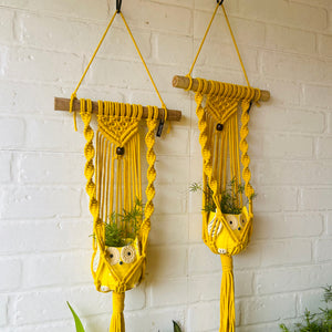 "Sunrise" Macrame Plant Hangers | Yellow