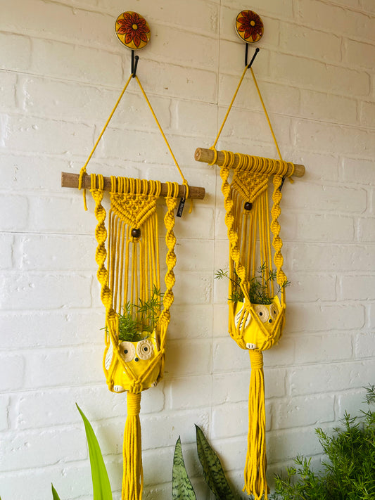 "Sunrise" Macrame Plant Hangers | Yellow