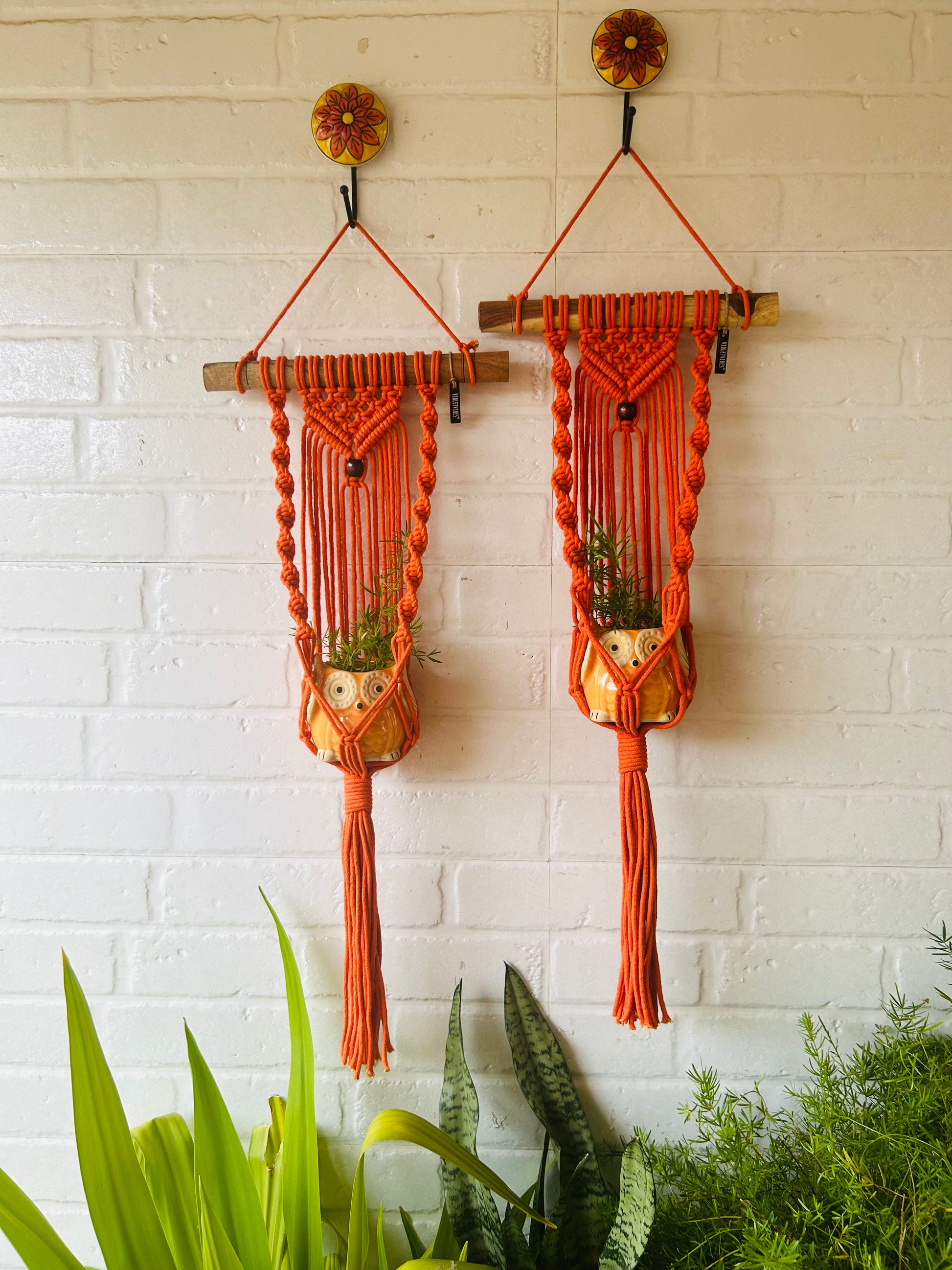 "Sunset" Macrame Plant Hangers | Orange