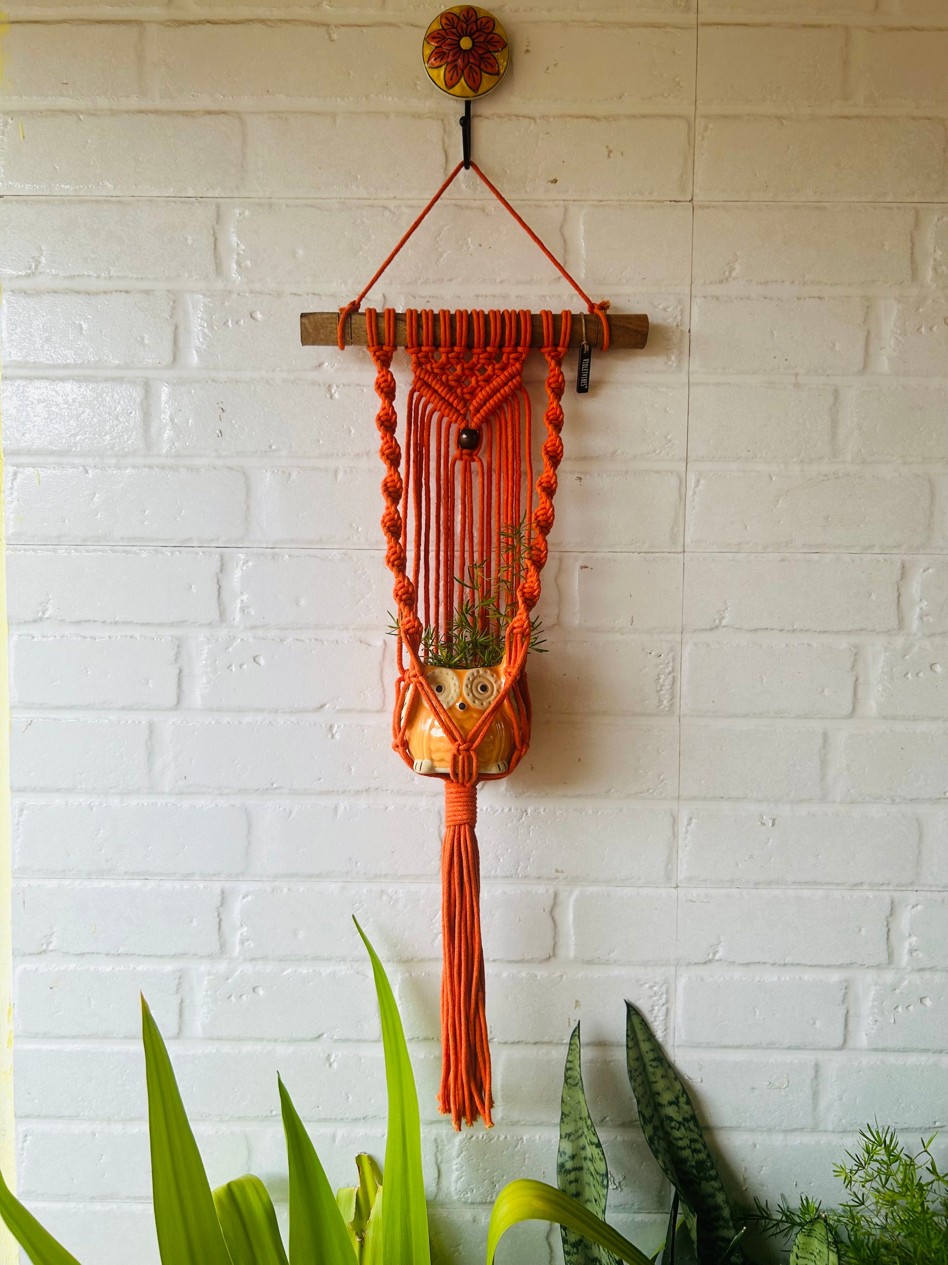 "Sunset" Macrame Plant Hangers | Orange
