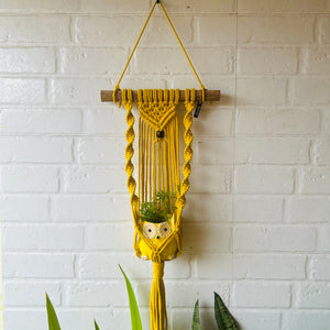 "Sunrise" Macrame Plant Hangers | Yellow