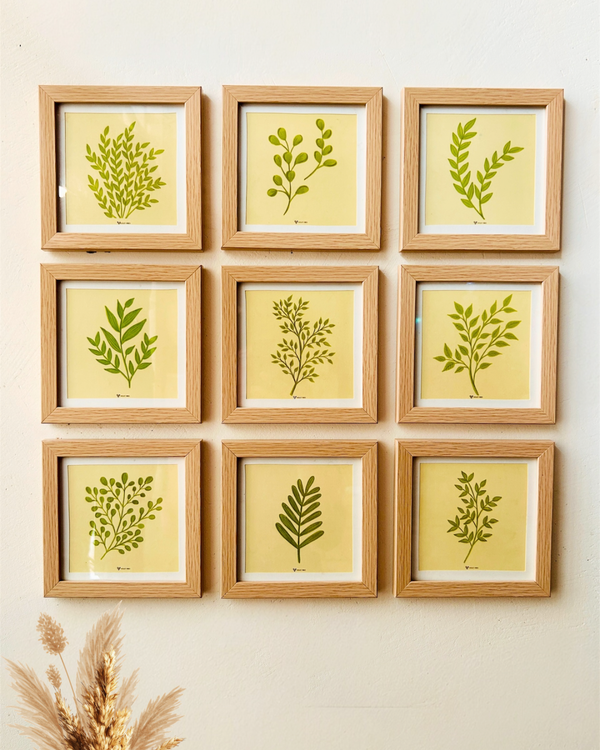 Whispers of Nature | Wall Frame Set of 9
