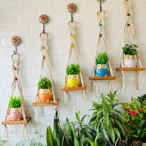 "Boho Braid" Mini Wall Shelves with Owl shaped Ceramic planters and Ceramic hooks | Set of 5 colors