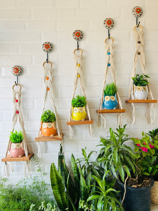 "Boho Braid" Mini Wall Shelves with Owl shaped Ceramic planters and Ceramic hooks | Set of 5 colors