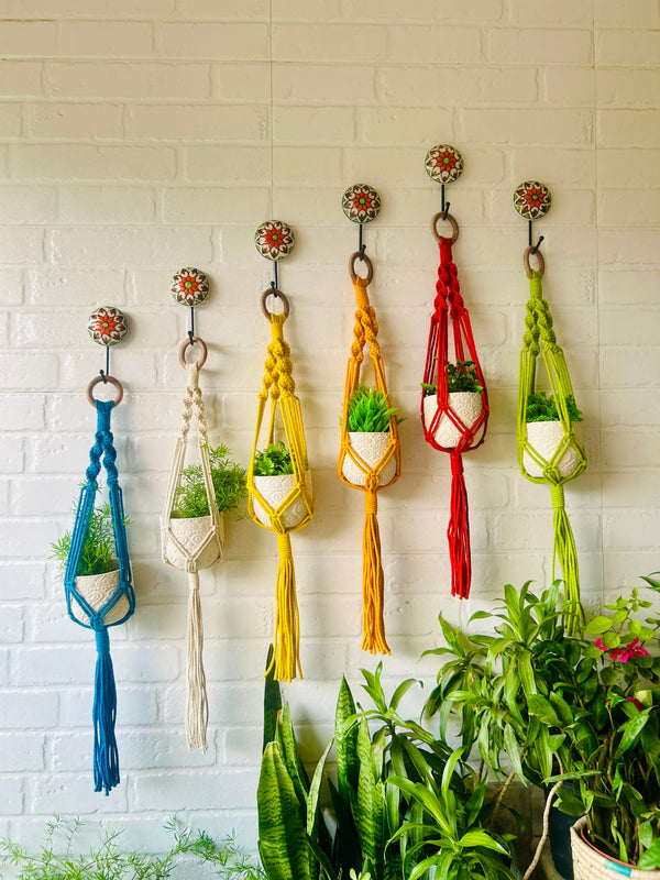 Colorful Macrame Plant Hangers with classic white ceramic pots and ceramic hook