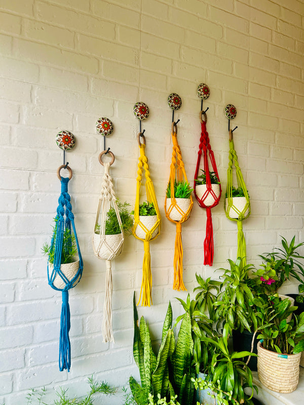 Colorful Macrame Plant Hangers with classic white ceramic pots and ceramic hook