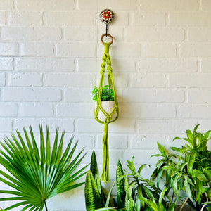 Colorful Macrame Plant Hangers with classic white ceramic pots and ceramic hook