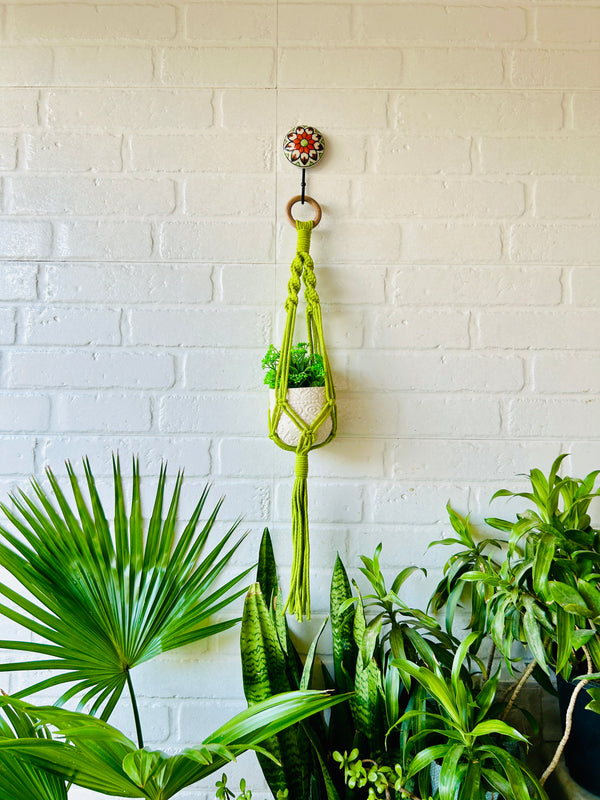 Colorful Macrame Plant Hangers with classic white ceramic pots and ceramic hook
