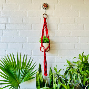 Colorful Macrame Plant Hangers with classic white ceramic pots and ceramic hook
