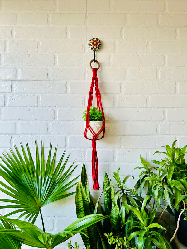 Colorful Macrame Plant Hangers with classic white ceramic pots and ceramic hook