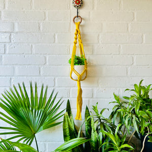 Colorful Macrame Plant Hangers with classic white ceramic pots and ceramic hook