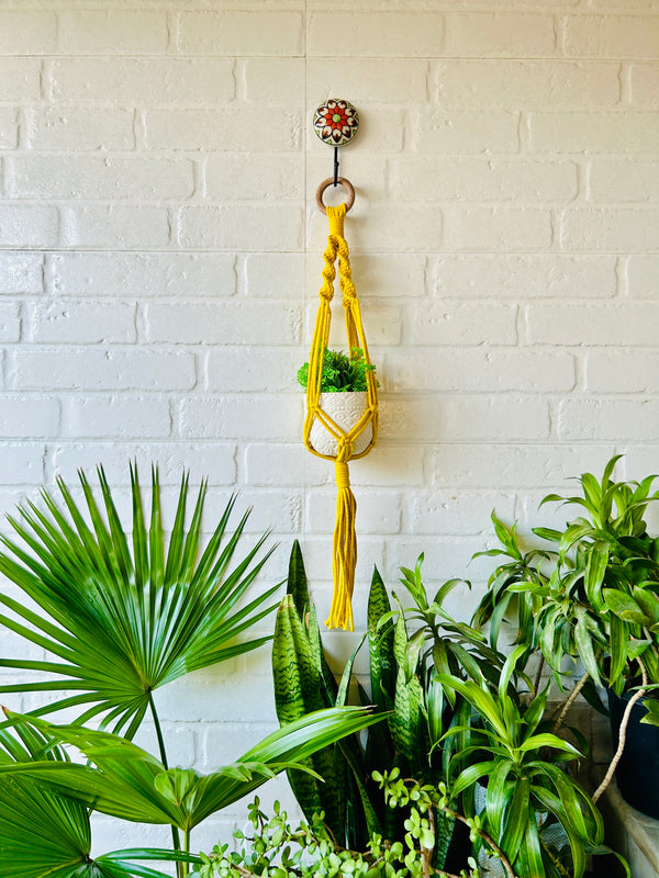 Colorful Macrame Plant Hangers with classic white ceramic pots and ceramic hook