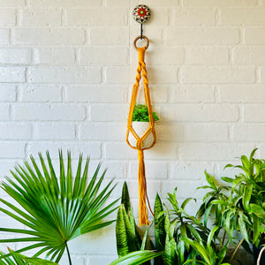 Colorful Macrame Plant Hangers with classic white ceramic pots and ceramic hook