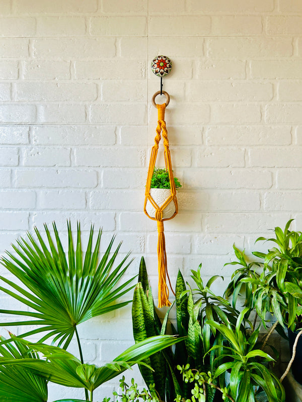 Colorful Macrame Plant Hangers with classic white ceramic pots and ceramic hook