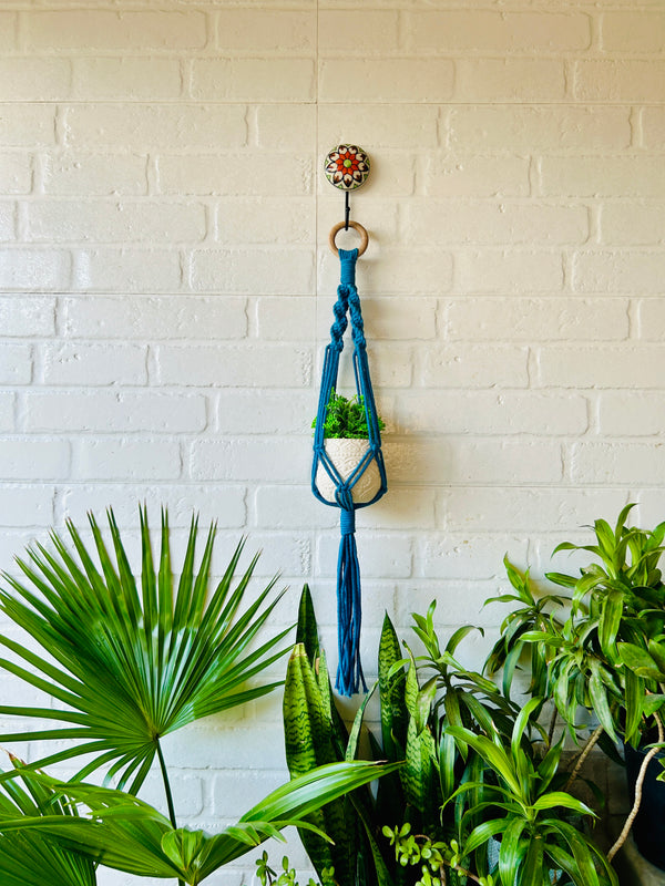 Colorful Macrame Plant Hangers with classic white ceramic pots and ceramic hook