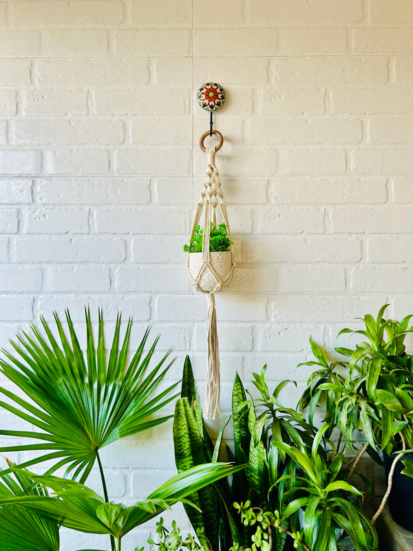 Colorful Macrame Plant Hangers with classic white ceramic pots and ceramic hook