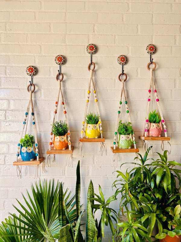 KNOT AND BEAD | SET OF FIVE |  Macrame Mini Wall Shelves with owl planters and ceramic hooks