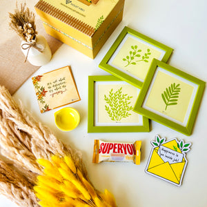 QUIET STORIES - MOSS | GIFT BOX | THIS DIWALI - LET THERE BE LIGHT