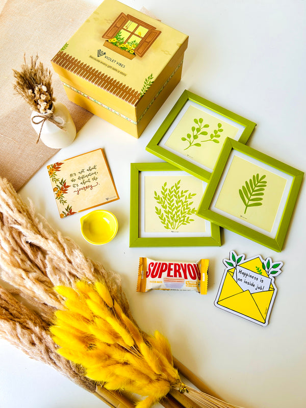 QUIET STORIES - MOSS | GIFT BOX | THIS DIWALI - LET THERE BE LIGHT