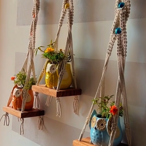 "Boho Braid" Mini Shelves with Owl shaped planters and Ceramic hooks ( Testing )