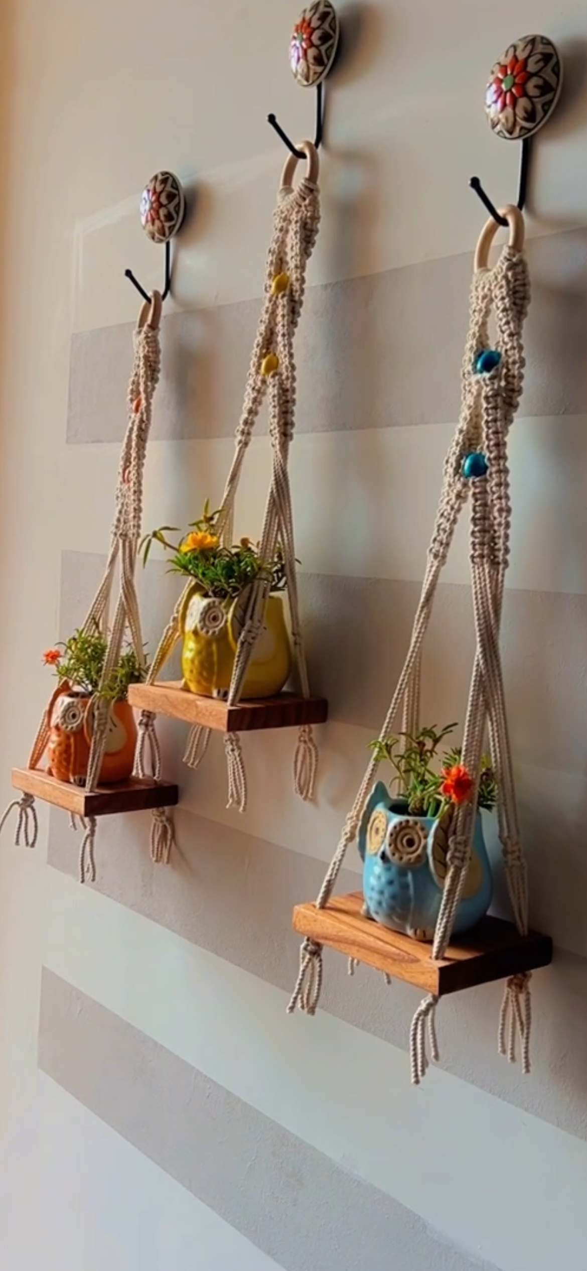"Boho Braid" Mini Shelves with Owl shaped planters and Ceramic hooks ( Testing )