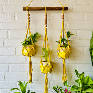 Beaded Triple Macrame Plant Hanger with Owl planters & Ceramic Hook | Peppy Yellow