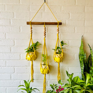 Beaded Triple Macrame Plant Hanger with Owl planters & Ceramic Hook | Peppy Yellow