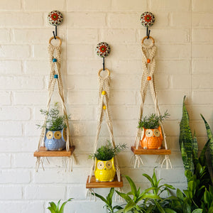 "Boho Braid" Mini Shelves with Owl shaped planters and Ceramic hooks ( Testing )