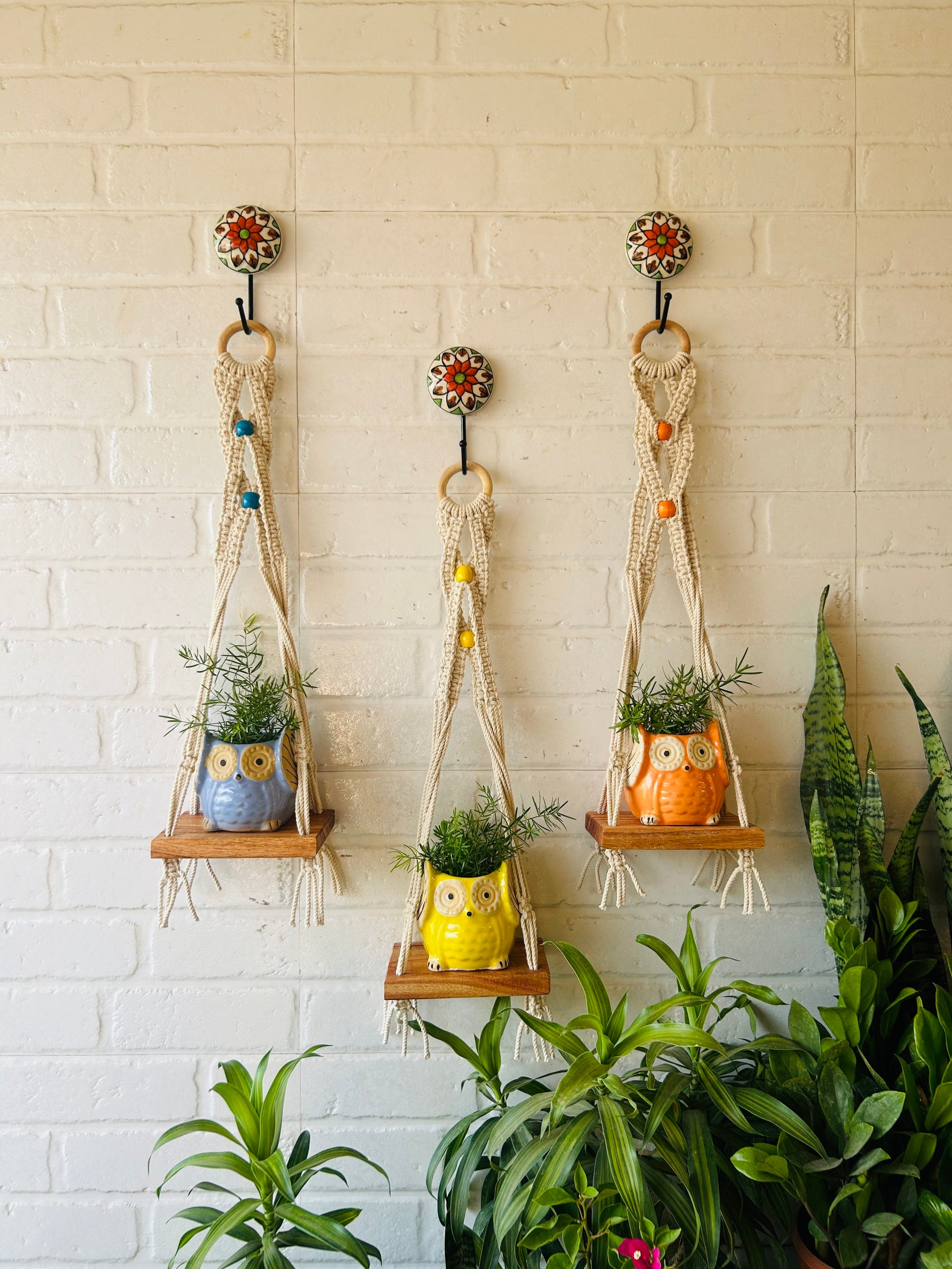 "Boho Braid" Mini Shelves with Owl shaped planters and Ceramic hooks ( Testing )