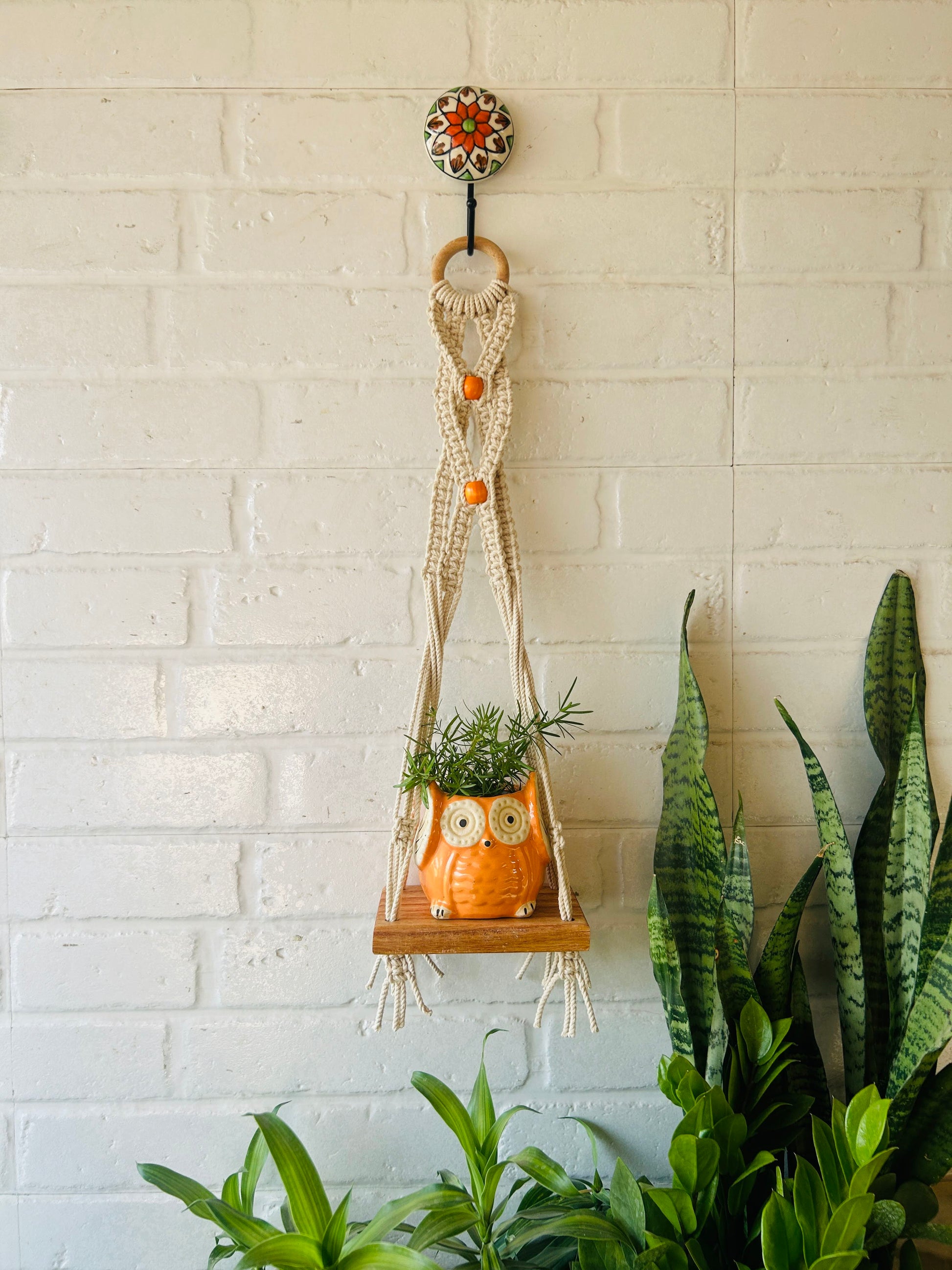 "Boho Braid" Mini Shelves with Owl shaped planters and Ceramic hooks ( Testing )