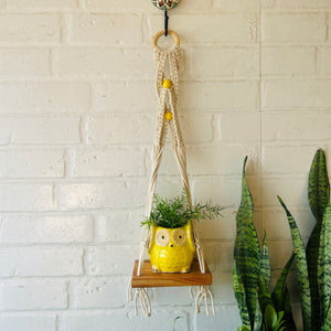 "Boho Braid" Mini Shelves with Owl shaped planters and Ceramic hooks ( Testing )