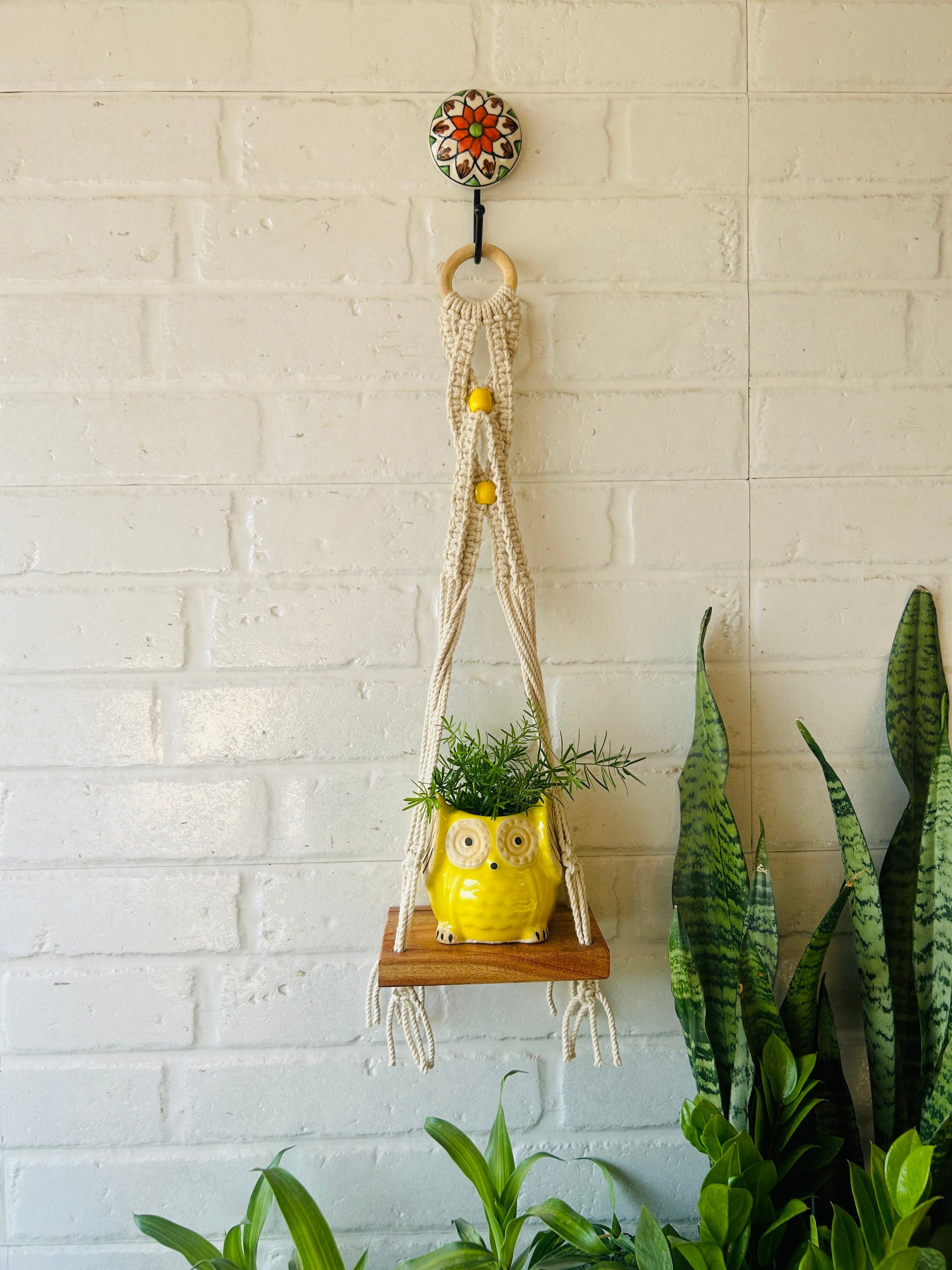 "Boho Braid" Mini Shelves with Owl shaped planters and Ceramic hooks ( Testing )