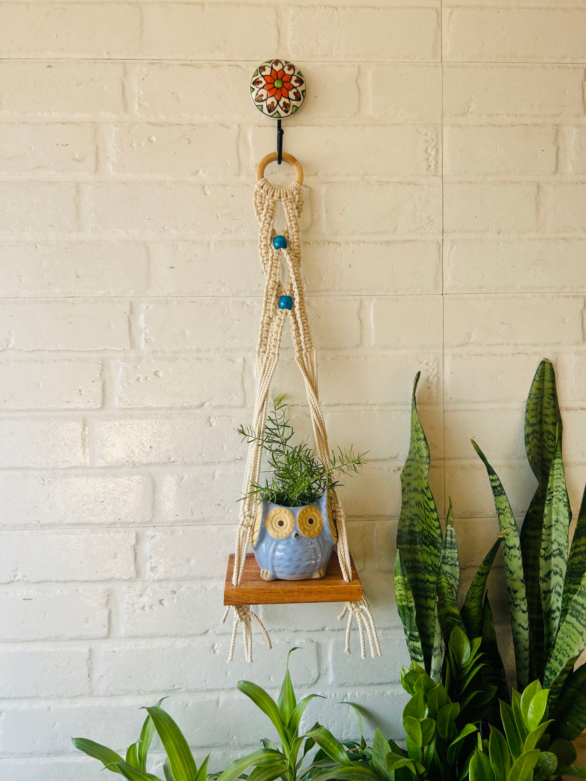 "Boho Braid" Mini Shelves with Owl shaped planters and Ceramic hooks ( Testing )