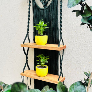 SunLeaf (Shades of yellow and Green) | Mac Two Stories | Macrame Shelf with a Ceramic hook and two ceramic planters