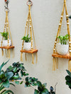 KNOT AND BEAD | SET OF THREE | CARAMEL | Macrame Shelves with engraved planters and ceramic hooks