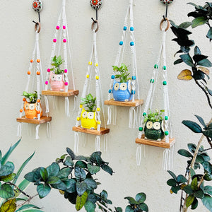 KNOT AND BEAD | SET OF FIVE |  Macrame Mini Wall Shelves with owl planters and ceramic hooks