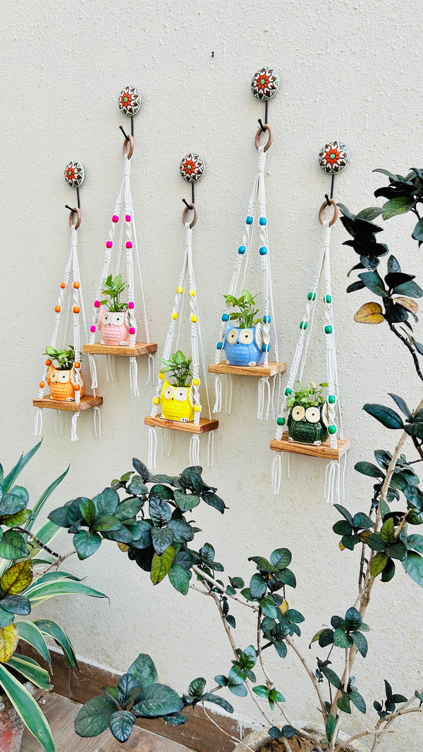 KNOT AND BEAD | SET OF FIVE |  Macrame Mini Wall Shelves with owl planters and ceramic hooks