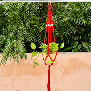 Colorful Macrame Air Planters| Available in 6 different colors (Planter not included)