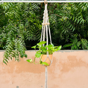 Colorful Macrame Air Planters| Available in 6 different colors (Planter not included)