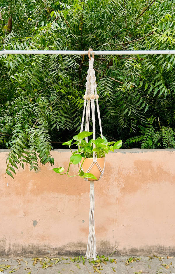 Colorful Macrame Air Planters| Available in 6 different colors (Planter not included)