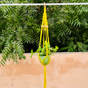Colorful Macrame Air Planters| Available in 6 different colors (Planter not included)