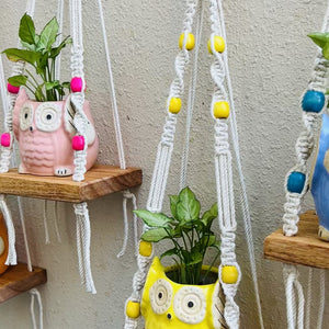KNOT AND BEAD | SET OF FIVE |  Macrame Mini Wall Shelves with owl planters and ceramic hooks