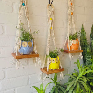 "Boho Braid" Mini Shelves with Owl shaped planters and Ceramic hooks ( Testing )