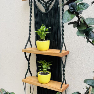 SunLeaf (Shades of yellow and Green) | Mac Two Stories | Macrame Shelf with a Ceramic hook and two ceramic planters
